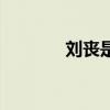 劉喪是好人還是壞人（劉喪）