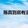 陳真到底有沒有此人（陳真是否真有其人）