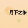 月下之旅：月夜游、短途游、文藝游