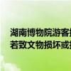 湖南博物院游客掉手機(jī)砸壞辛追夫人棺槨下方玻璃，律師：若致文物損壞或擔(dān)刑責(zé)