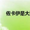 佐卡伊是大牌子嗎（佐卡伊算什么檔次）