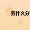 勞什么分飛動物成語（勞什么分飛）