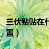 三伏貼貼在什么位置視頻（三伏貼貼在什么位置）
