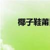 椰子鞋莆田和正版的區(qū)別（椰子鞋）