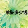 羊駝多少錢一只幼崽（羊駝多少錢一只）
