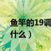 魚竿的19調(diào)與28調(diào)指的是什么（魚竿h代表什么）