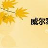 威爾泰：董事長葉鵬智辭職