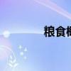 糧食概念走強(qiáng) 京糧控股漲停