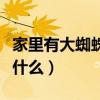 家里有大蜘蛛怎么回事（家里有大蜘蛛意味著什么）