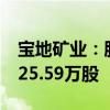 寶地礦業(yè)：股東擬減持公司股份合計不超過125.59萬股