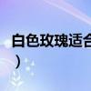 白色玫瑰適合送什么人（白玫瑰不能隨便送人）