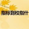指標(biāo)到校指什么（指標(biāo)到校什么意思沈陽市）