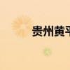 貴州黃平突發(fā)重大刑案 嫌犯潛逃