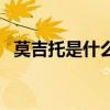 莫吉托是什么味道的飲料（莫吉托是什么）