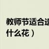 教師節(jié)適合送什么花要送幾朵（教師節(jié)適合送什么花）