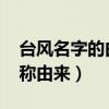 臺(tái)風(fēng)名字的由來(lái)都怎么規(guī)定的2019（臺(tái)風(fēng)名稱(chēng)由來(lái)）