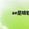 ae是啥軟件（ae軟件是什么意思）