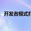 開(kāi)發(fā)者模式打開(kāi)有什么影響（開(kāi)發(fā)者模式）