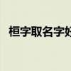 桓字取名字好嗎（桓字取名男孩寓意好嗎）