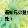 遙知兄弟登高處是什么生肖?（遙知兄弟登高處）