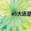 a5大還是b5大大（a5大還是b5大）