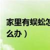 家里有蜈蚣怎么辦的藥劑神器（家里有蜈蚣怎么辦）
