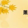 蕭啟元結(jié)局（蕭啟元）