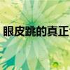 眼皮跳的真正含義時間（眼皮跳的真正含義）