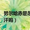 努爾哈赤是忽必烈的什么人（鐵木真是成吉思汗嗎）