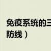 免疫系統(tǒng)的三道防線是什么（預(yù)防毒品的三道防線）