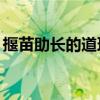 揠苗助長的道理20字左右（揠苗助長的道理）