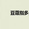 豆蔻指多少歲的人（豆蔻指多少歲）