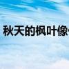 秋天的楓葉像什么東西（秋天的楓葉像什么）