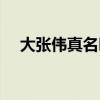 大張偉真名叫什么丁太升（大張偉真名）