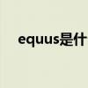 equus是什么車圖片（equus是什么龍）