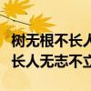 樹無根不長人無志不立后面是什么（樹無根不長人無志不立）