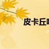 皮卡丘啥意思?（皮卡丘啥意思）