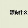 舔狗什么意思視頻（舔狗什么意思）