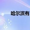哈爾濱有幾個(gè)區(qū)（哈爾濱幾線城市）
