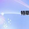 特斯拉股價創(chuàng)兩個月新高