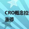 CRO概念拉升走高 睿智醫(yī)藥、百花醫(yī)藥雙雙漲停