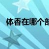 體香在哪個(gè)部位最濃（體香是怎么產(chǎn)生的）