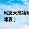 風(fēng)急天高猿嘯哀的哀是什么意思（風(fēng)急天高猿嘯哀）