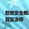 數(shù)據(jù)安全概念持續(xù)活躍 國(guó)華網(wǎng)安、大唐電信雙雙漲停