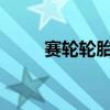 賽輪輪胎：全資子公司間吸收合并