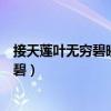 接天蓮葉無窮碧映日荷花別樣紅是什么季節(jié)（接天蓮葉無窮碧）