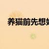 養(yǎng)貓前先想好6件事（養(yǎng)貓需要準備什么）
