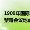 1909年國際禁毒日會議地點（1909年國際性禁毒會議地點）