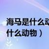 海馬是什么動物?胎生還是卵生還是?（海馬是什么動物）