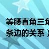 等腰直角三角形三條邊的關(guān)系（直角三角形三條邊的關(guān)系）